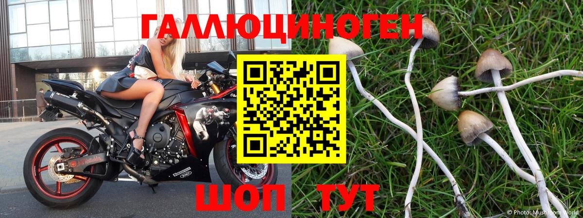 Галлюциногенные грибы Psilocybe  Вход с VPN  Галлюциногенные грибы Psilocybine cubensis  Электросталь 