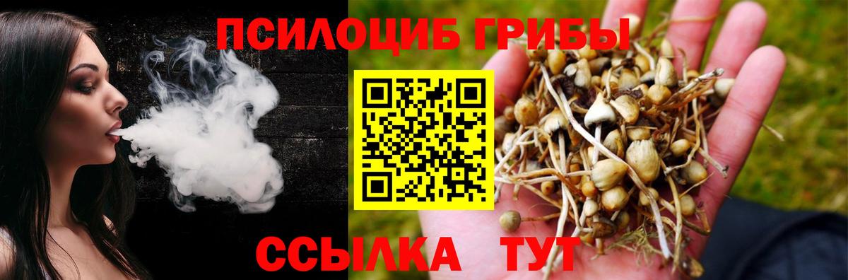 Псилоцибиновые грибы мухоморы Электросталь